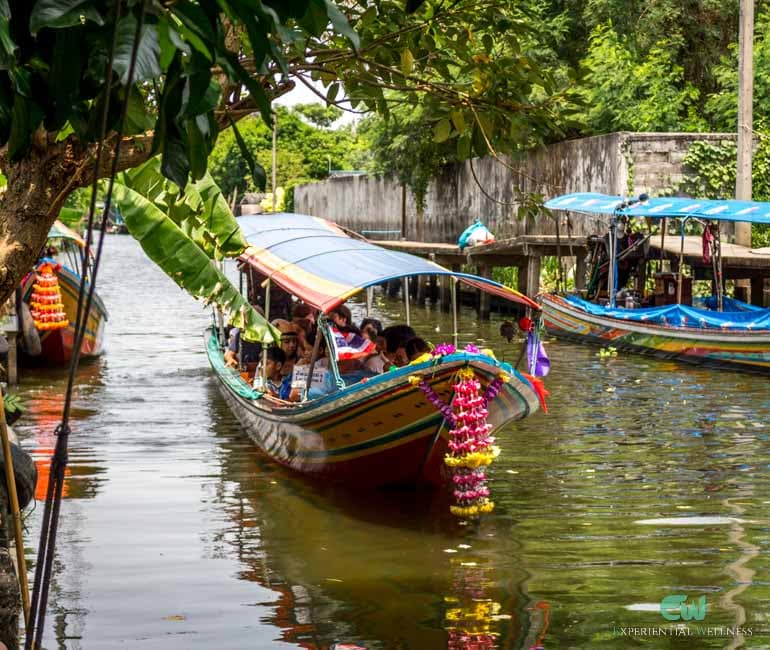 Boat trip through a leafy canal