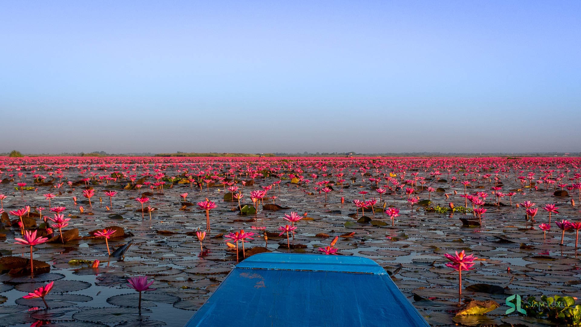 How to Choose a Thailand Tour Operator: A Practical Guide from Bangkok