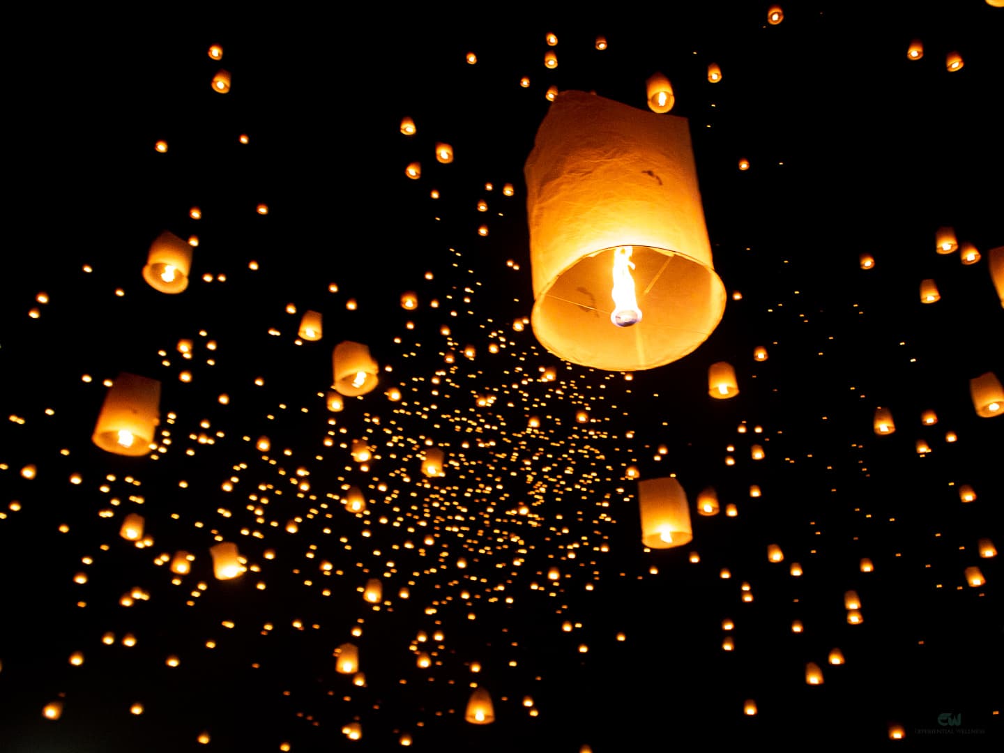 Yi Peng Festival
