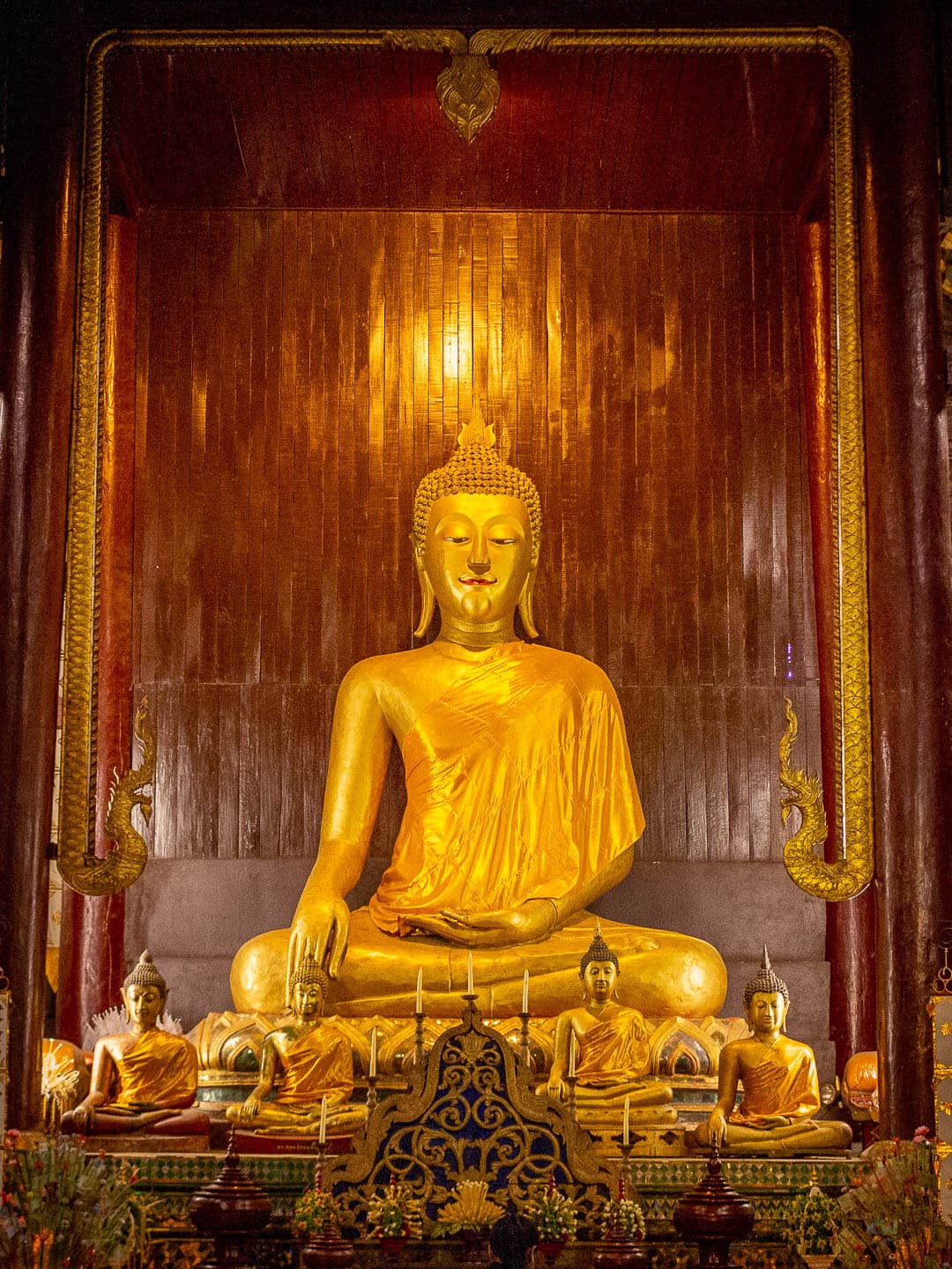 Unvaccinated Tourists must