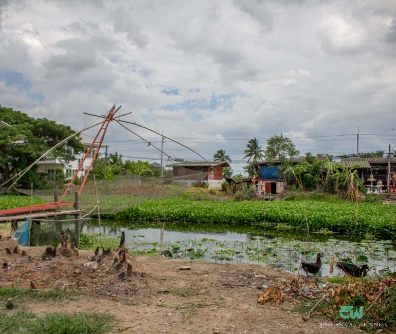 A local scenery with ducks and a fishing net along Khlong Mahasawat