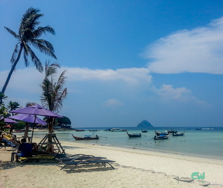 An ocean view, coconut tree, and beach