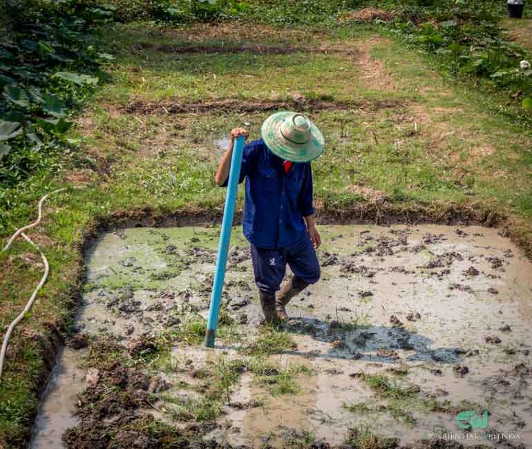 The life of a farmer, a true experiential travel