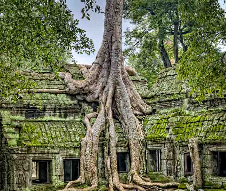Ta Prohm, a hindu temple, during a tour to Angkor