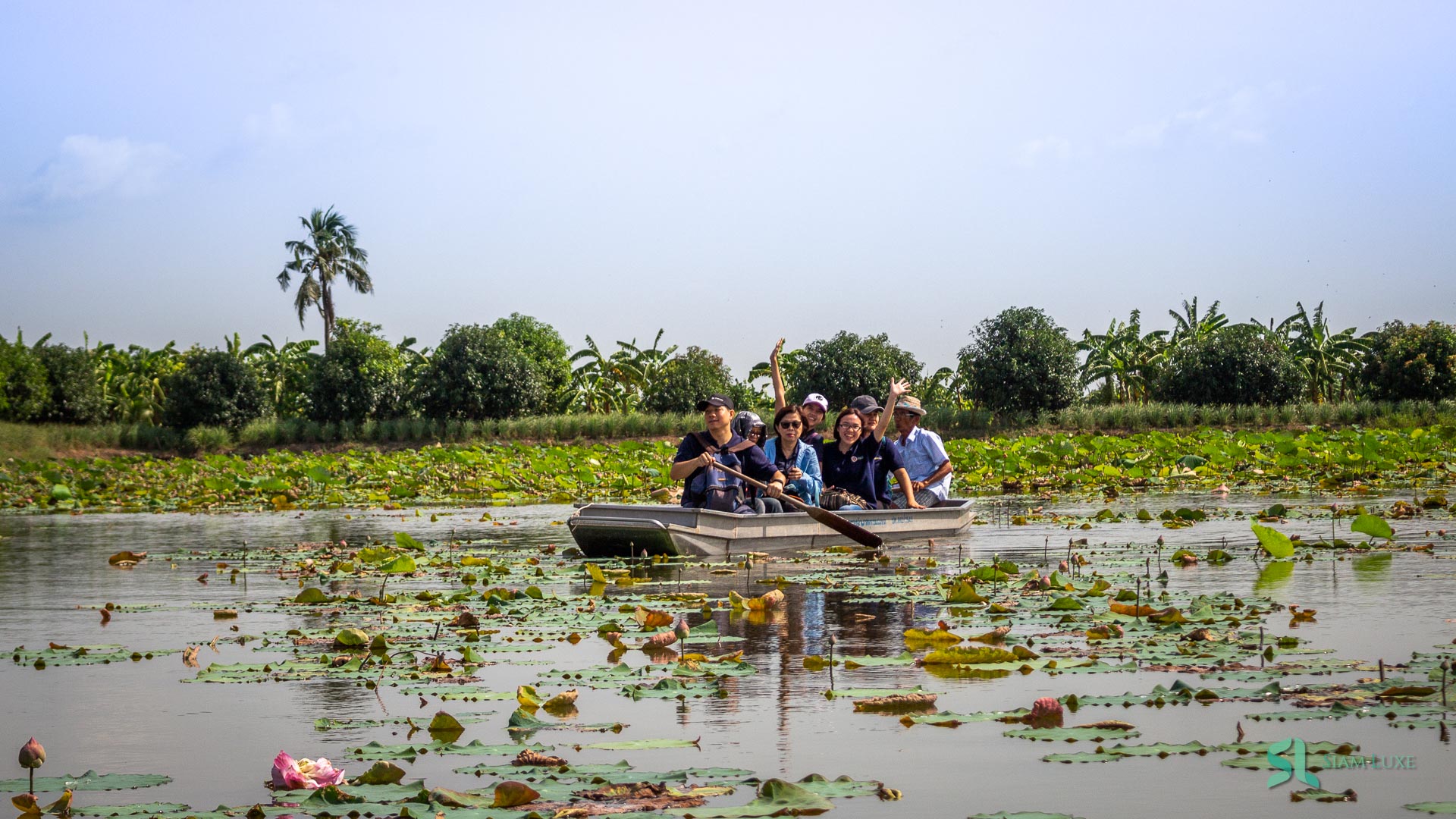 A group of tourists are paddling on the lotus pond in Mahasawat Canal Tour