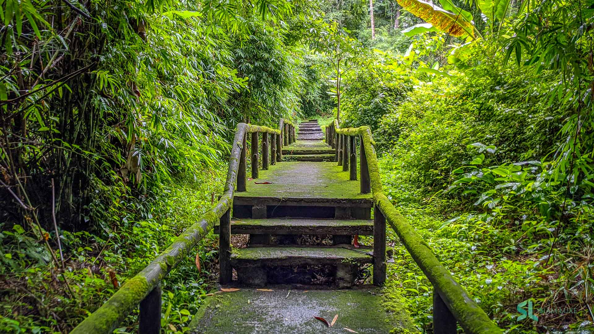 tourist walking trails in a Thailand national park