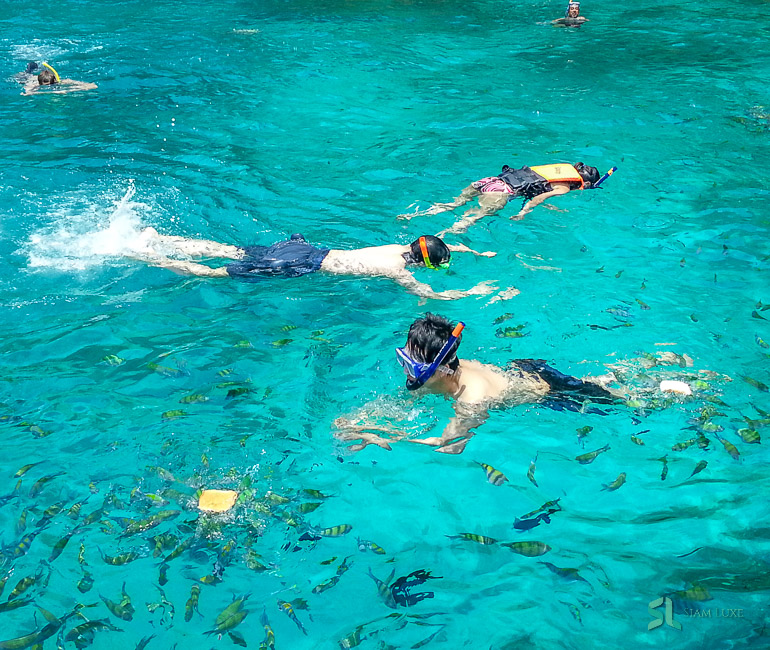 Tourists enjoy snorkeling at Phi Phi Islands